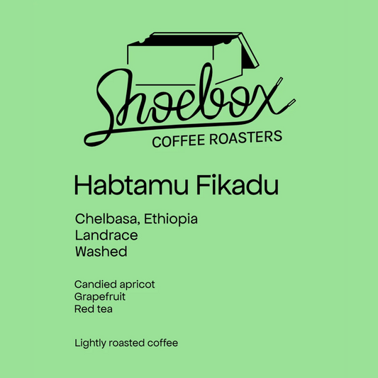 SHOEBOX - Habtamu Fikadu | Ethiopia - Washed - Landrace
