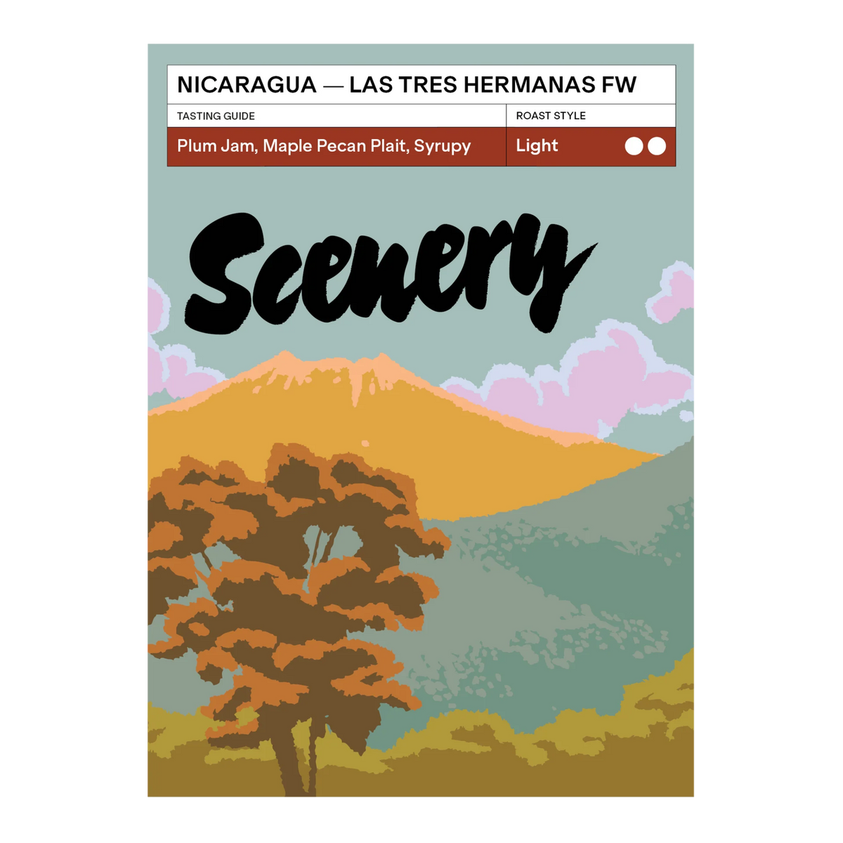 SCENERY - Las Tres Hermanas FW | Nicaragua - Washed - Bourbon Tekisic