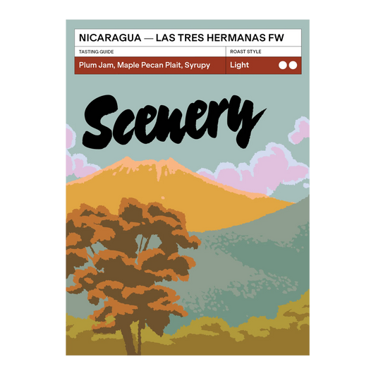SCENERY - Las Tres Hermanas FW | Nicaragua - Washed - Bourbon Tekisic