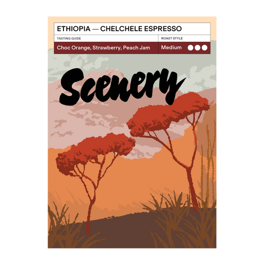 SCENERY - Chelchele Espresso | Ethiopia - Natural - Dega, Kurume, Wolisho, 74110, 74112, 74158