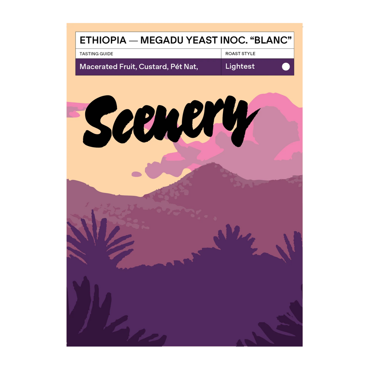 SCENERY - Megadu Yeast Inoculated Natural "Blanc" | Ethiopia - Yeast Inoculated Anoxic Natural - Wild Guji Megadu (local landrace), JARC 74112/74158