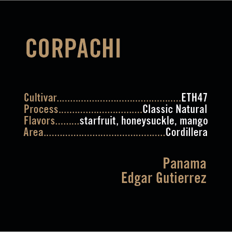 APOLLON'S GOLD - Corpachi | Panama - Natural - ETH47