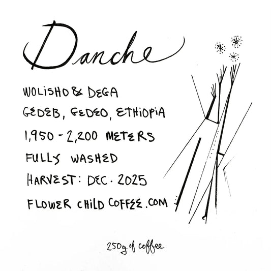 FLOWER CHILD - Danche | Ethiopia - Washed - Ethiopian Landraces