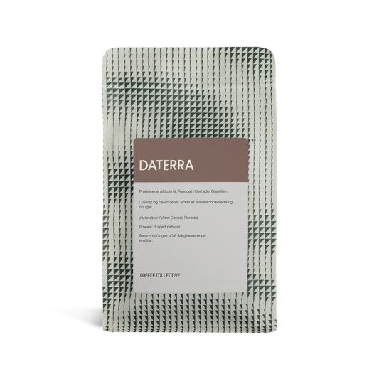 COFFEE COLLECTIVE - Daterra {Filter} | Brazil -  Pulped Natural - Yellow Catuai, Paraiso