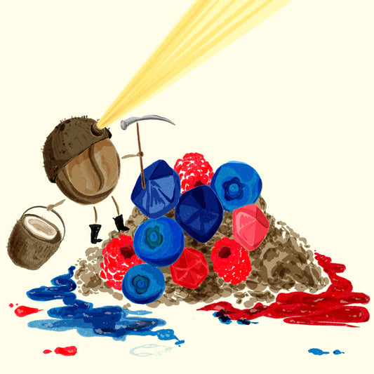 HYDRANGEA - Mora Azul Blueberry | Colombia - Blueberry Co Fermented Washed - Purple Caturra, Bourbon