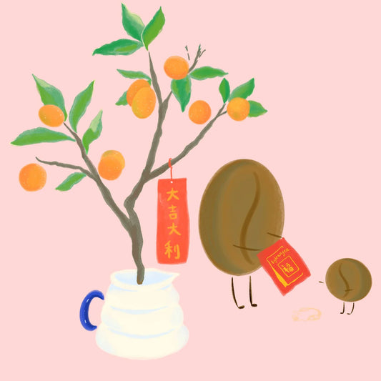 HYDRANGEA - Monteblanco Kumquat | Colombia - Kumquat Co-Fermented - Purple Caturra