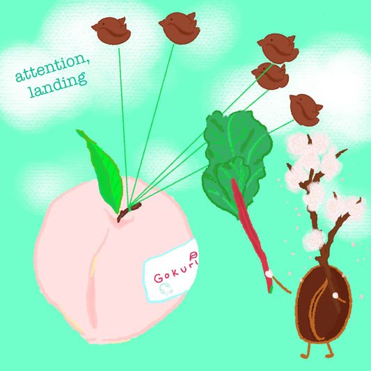 HYDRANGEA - El Paraiso Peach | Colombia - Thermal Shock +  Two Stage Fermentation - Pink Bourbon