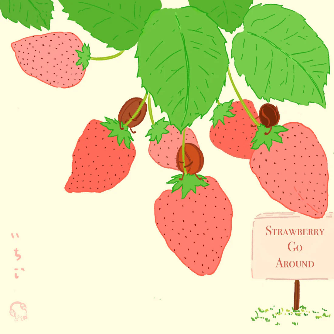 HYDRANGEA - Strawberry Catiope | Colombia - Natural Co-Ferment with Strawberries - Catiope