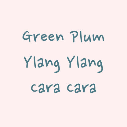 HYDRANGEA - El Morito Gesha | Peru - Washed - Gesha