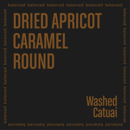 THE BARN - Caballero {Espresso} | Honduras - Washed - Catuai