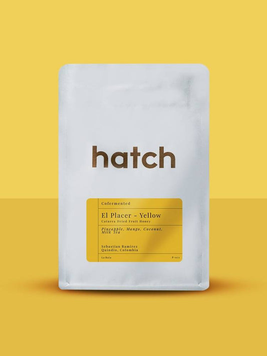 HATCH - El Placer Yellow | Colombia - Yeast Inoculated CM Honey Co-fermentation - Caturra