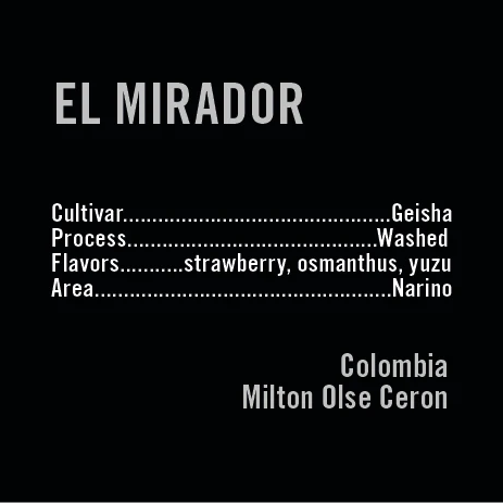 APOLLON'S GOLD - El Mirador | Colombia - Washed - Geisha