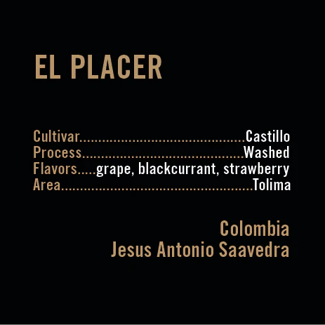 APOLLON'S GOLD - El Placer | Colombia - Washed - Castillo