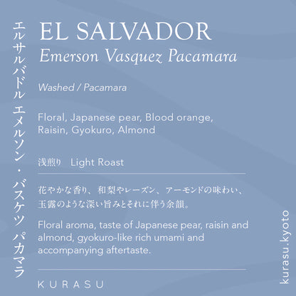 KURASU - Emerson Vasquez Pacamara | El Salvador - Washed - Pacamara