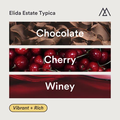 MONOGRAM - Elida Estate Typica - Panama - Natural - Typica