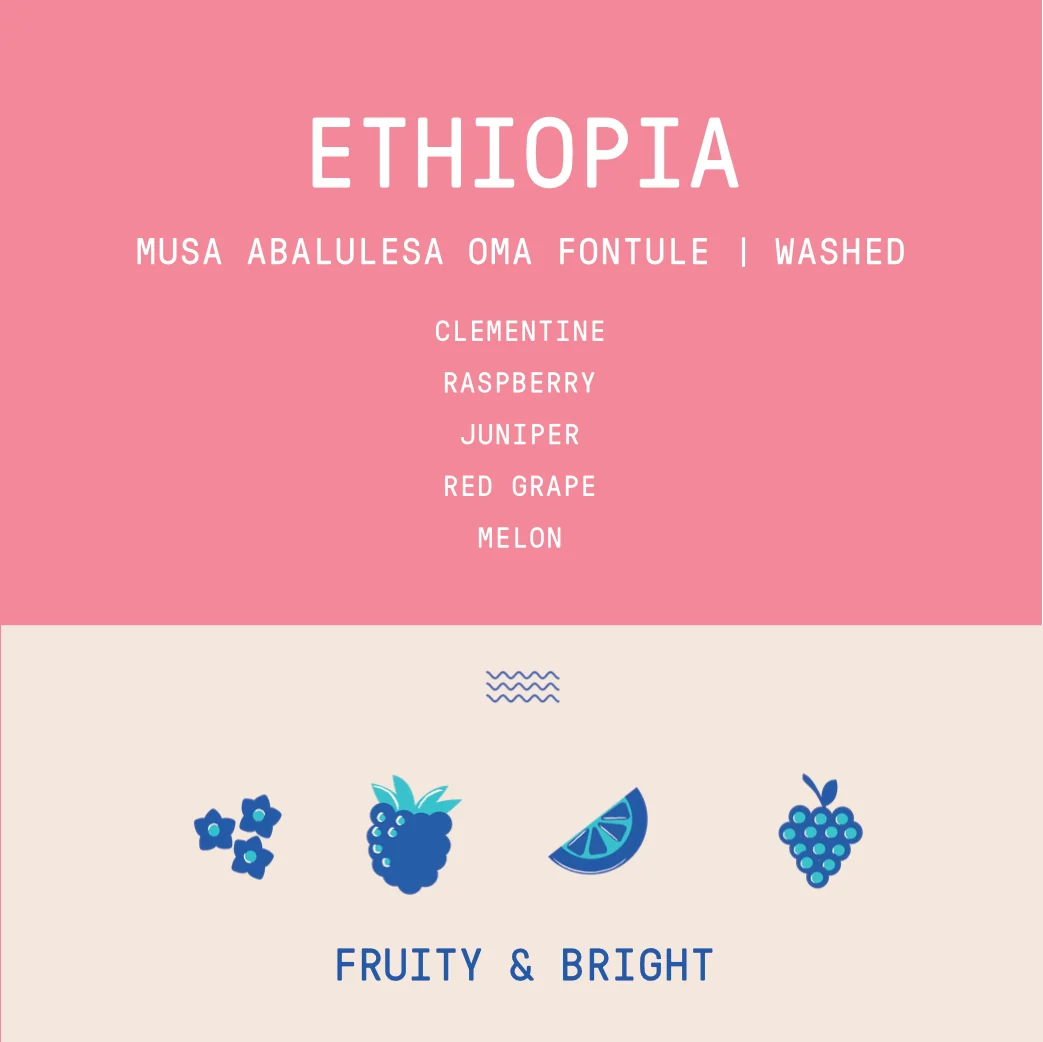 ROGUE WAVE - Musa Abalulesa Oma Fontule | Ethiopia - Washed - 74110, 74165