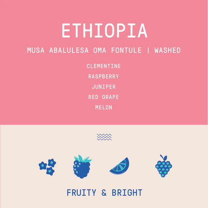 ROGUE WAVE - Musa Abalulesa Oma Fontule | Ethiopia - Washed - 74110, 74165