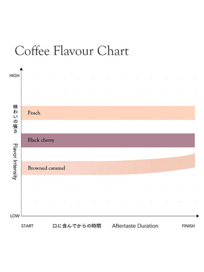 KURASU - Decaf - Sidamo | Ethiopia - Washed (Mountain Water Process) - Heirloom
