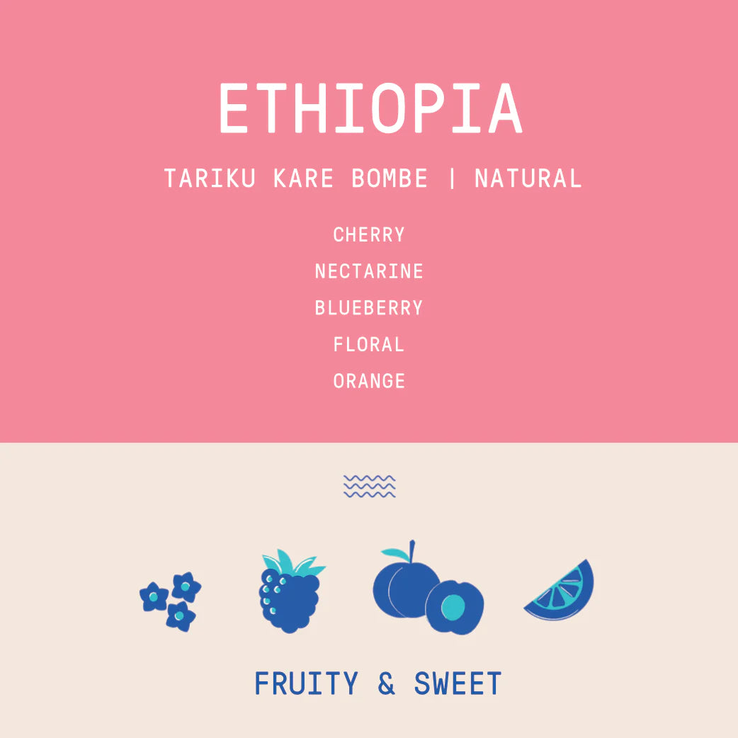ROGUE WAVE - Tariku Kare Bombe | Ethiopia - Natural - 74158, 74110, 74112