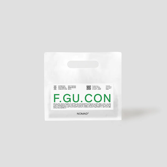 NOMAD - Concepcion Filter | Guatemala - Washed - Gesha