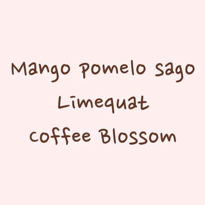 HYDRANGEA - Finca Hartmann Washed | Panama - Washed - Gesha