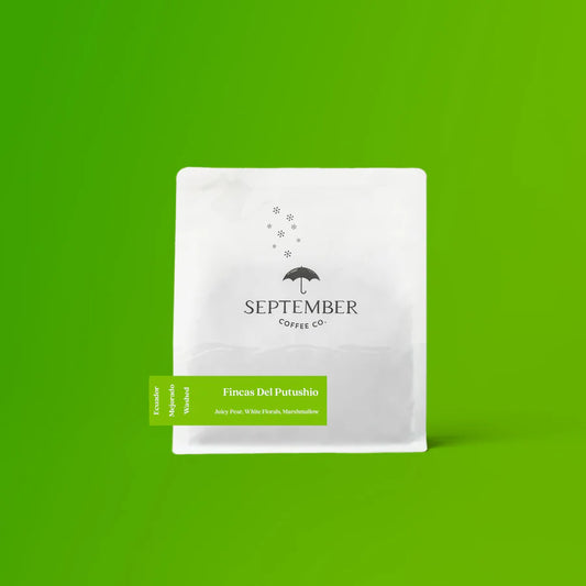 SEPTEMBER - Fincas Del Putushio | Ecuador - Washed - Mejorado
