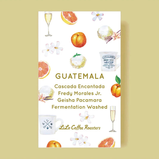 LILO - Cascada Encantada Fredy Morales Jr. | Guatemala - Fermentation Washed - Geisha, Pacamara