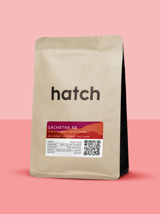 HATCH - Gachatha AB | Kenya - Washed - SL28, SL34, Ruiru 11, Batian