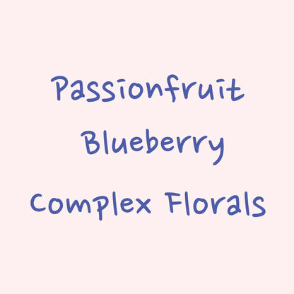HYDRANGEA - Lerida Natural Waterfall Gesha | Panama - Natural Waterfall - Gesha