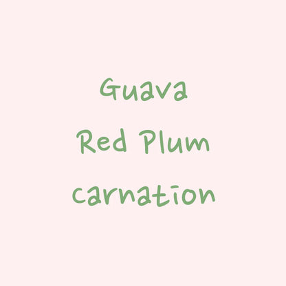 HYDRANGEA - Inmaculada Fellow Gesha | Colombia - Natural - Gesha