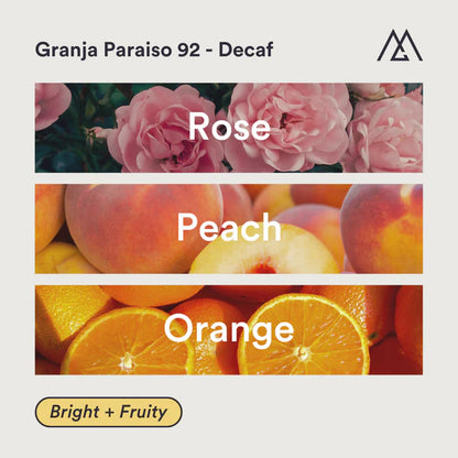 MONOGRAM - Decaf - Granja Paraiso 92 Filter | Colombia - Anaerobic Sugar Cane Decaf - Colombia