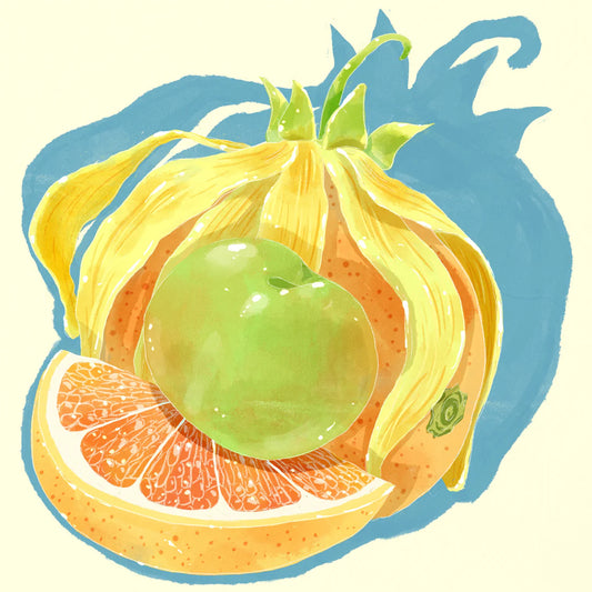 HYDRANGEA - El Morito Gesha | Peru - Washed - Gesha