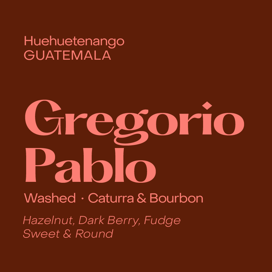 SUBTEXT - Gregorio Pablo {Espresso} | Guatemala - Washed - Caturra, Bourbon