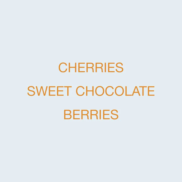 KOPPI - Las Moritas | Guatemala - Washed - Red Pacamara