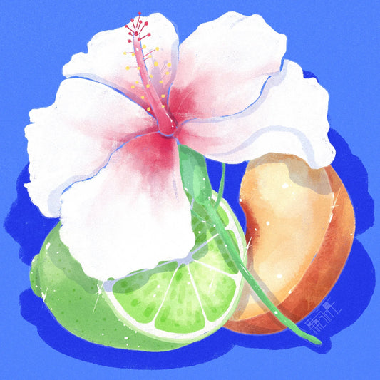 HYDRANGEA - El Turpial Washed Gesha | Colombia - Washed - Gesha