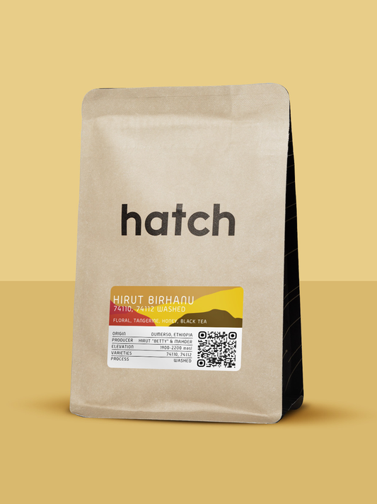 HATCH - Hirut Birhanu Washed | Ethiopia - Washed - 74110, 74112
