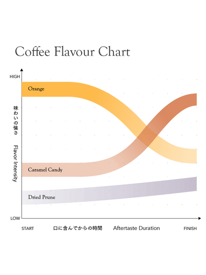 KURASU - House Blend Medium