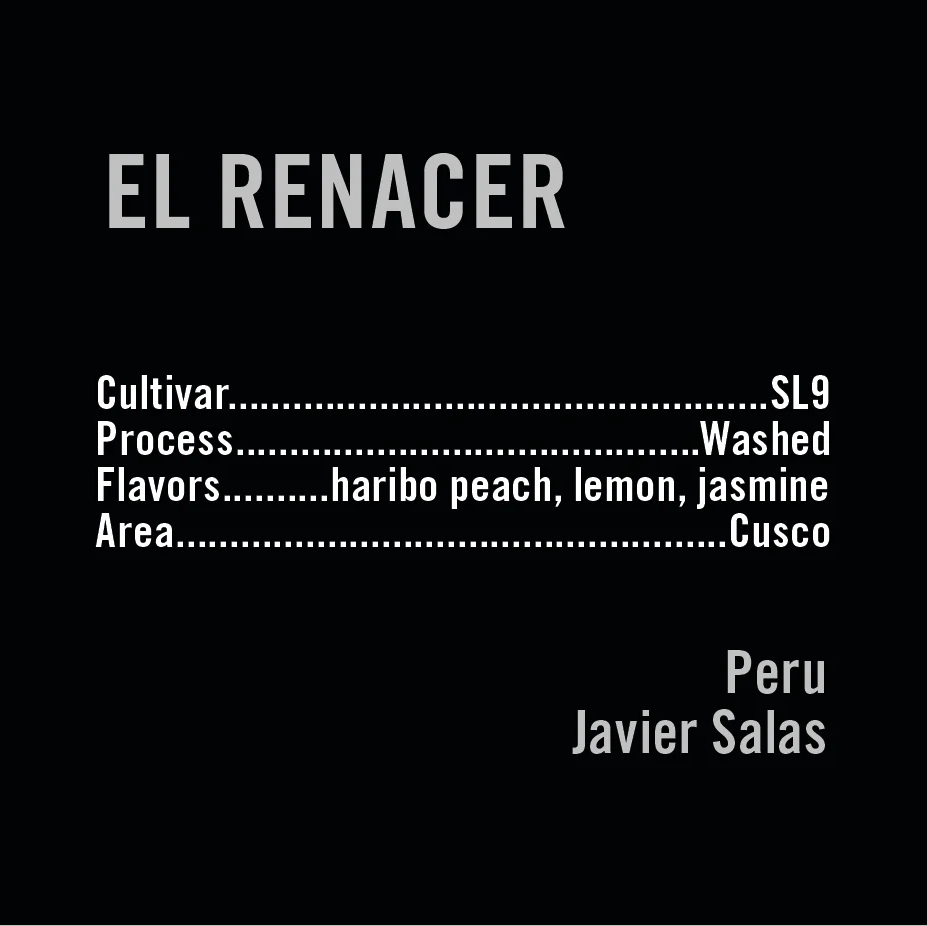 APOLLON'S GOLD - El Renacer | Peru - Washed - SL9