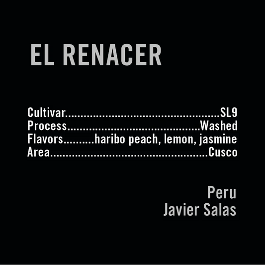 APOLLON'S GOLD - El Renacer | Peru - Washed - SL9