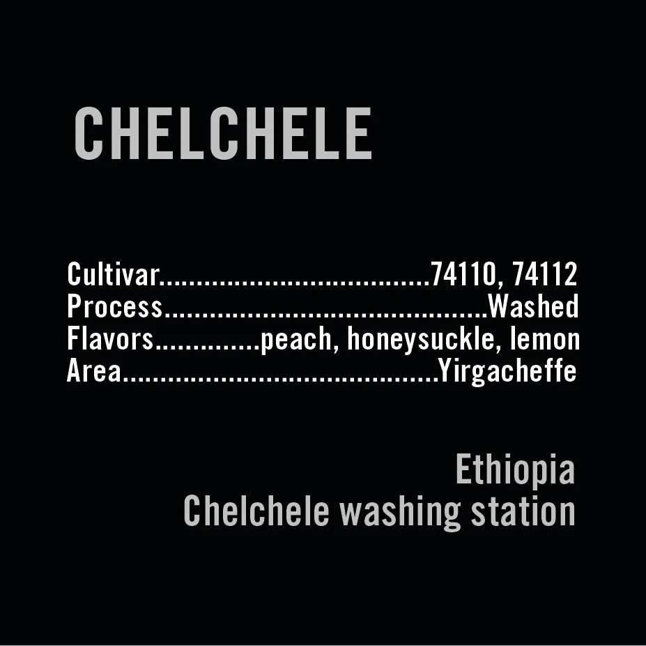 APOLLON'S GOLD - Chechele Washed | Ethiopia - Washed - 74110, 74112