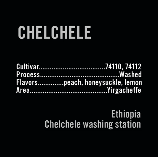 APOLLON'S GOLD - Chechele Washed | Ethiopia - Washed - 74110, 74112