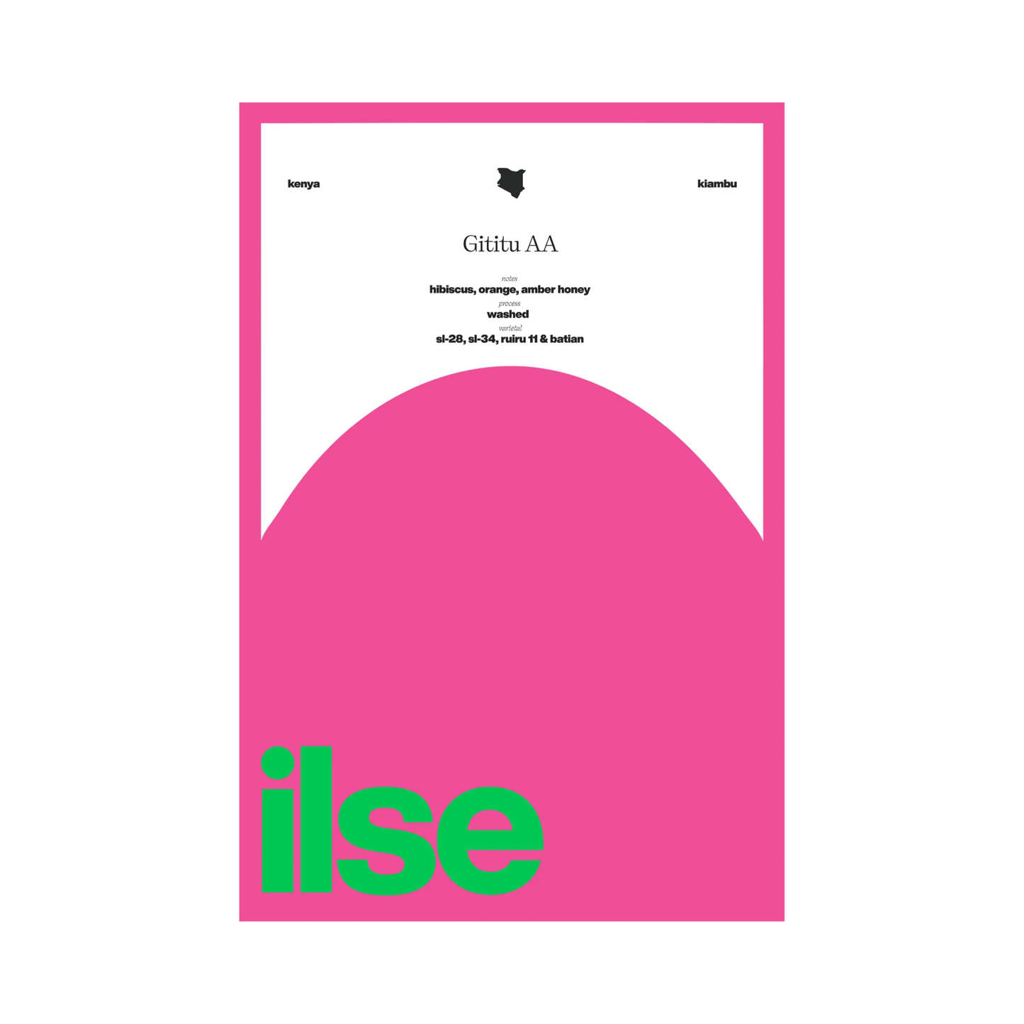 ILSE COFFEE - Gititu AA | Kenya - Washed - SL34, SL28, Ruiru11, Batian