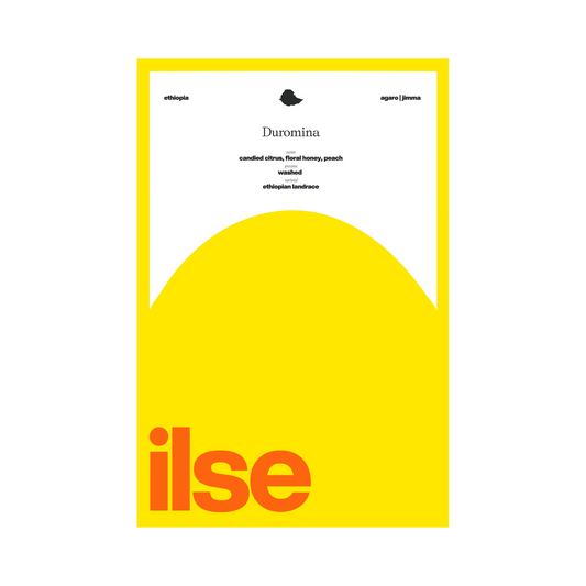 ILSE COFFEE - Duromina | Ethiopia - Washed - Ethiopian Landrace