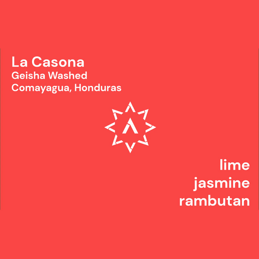 APOLLON'S GOLD - La Casona | Honduras - Washed - Geisha