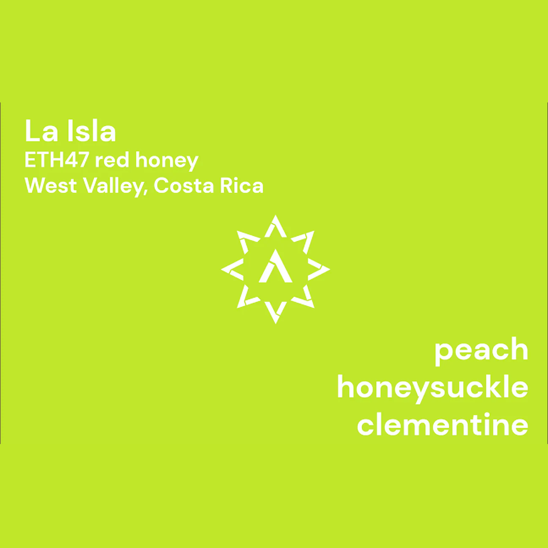 APOLLON'S GOLD - La Isla | Costa Rica - Red Honey - ETH47
