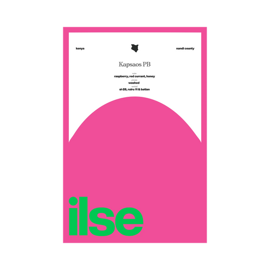 ILSE COFFEE - Kapsaos PB | Kenya - Washed - SL28, Ruiru11, Batian