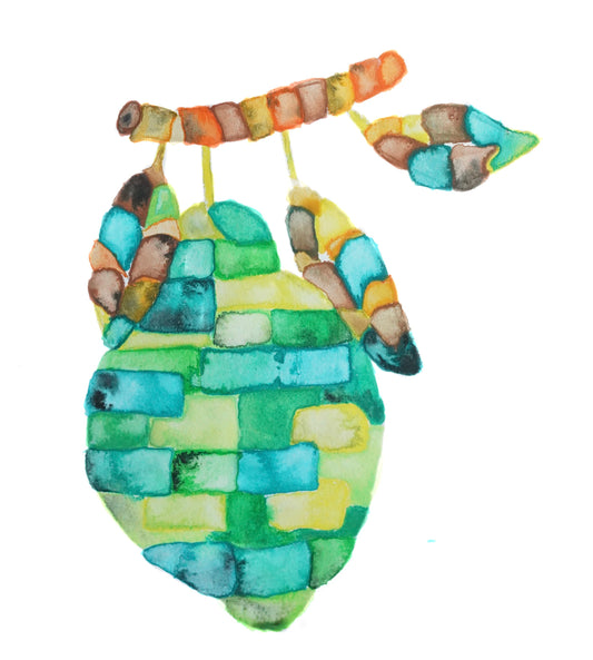 TAITH - Paola Trujillo | Colombia - Washed Anaerobic - Typica