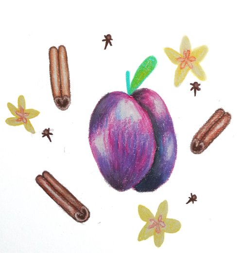 TAITH - Long Miles Rubirizi Hill | Uganda - Anaerobic Natural - SL28