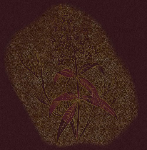 TAITH - Hachi AME | Panama - Natural Oxidative - Gesha