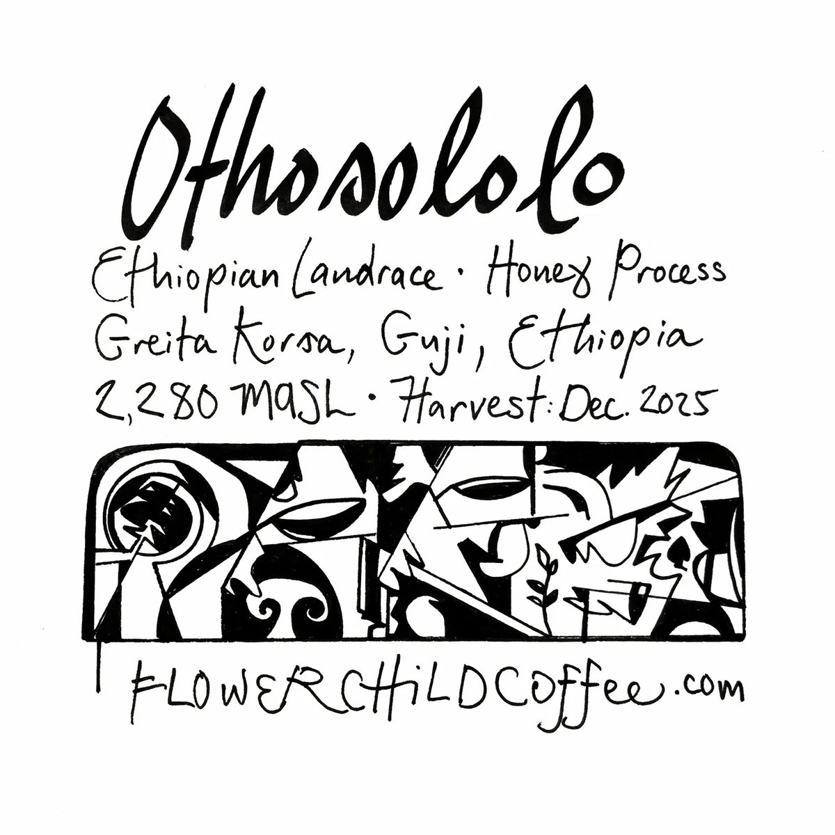 FLOWER CHILD - Othosololo | Ethiopia - Honey - Ethiopian Landraces